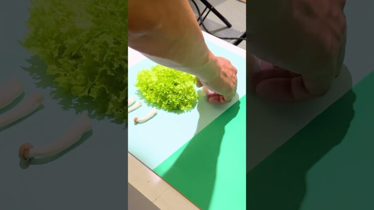 【野菜ドレス】フリルレタス×しめじ #shorts #きのこレシピ #ものづくり #かわいい #ファッション #渋谷 #東京 #畑 #栽培 #野菜 #art #ドレスアップ #職人 #沖縄