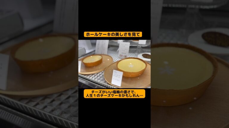 チーズケーキ好き集まれ！！#チーズケーキ#スイーツ好き #富山スイーツ#グルメ好き#japanfood#cheesecake #japangourmet #shorts