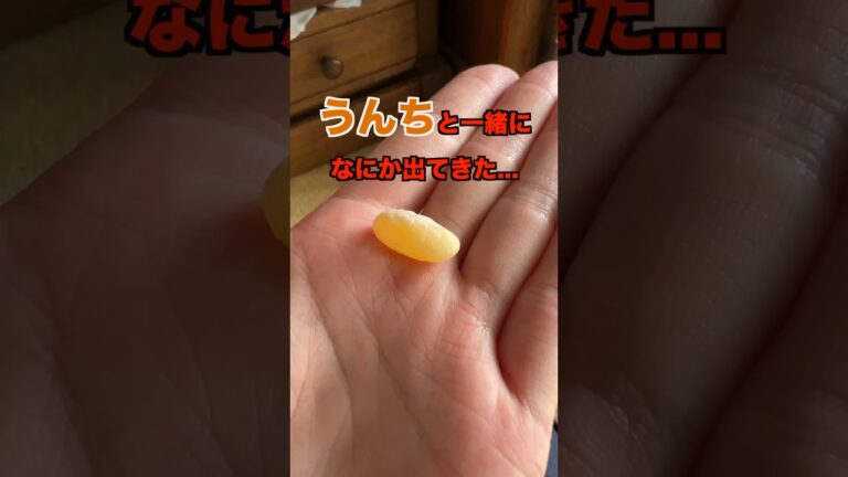 ブヨブヨしたものがうんちとともに出てきたら大変なことに…