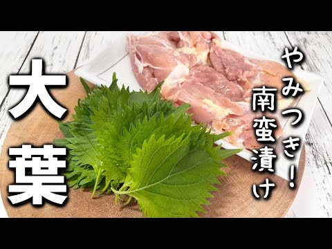 【鶏もも大葉の南蛮漬け】やばい南蛮漬けこれは必見です！！保存も出来て旨い！