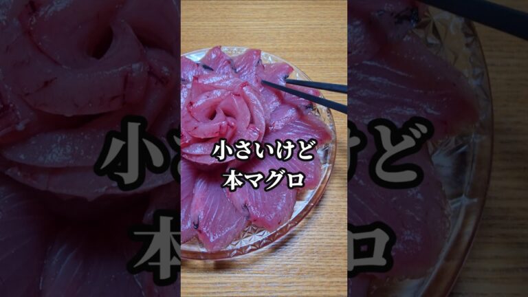 小さい本マグロを刺身にしたら美味すぎた #マグロ #刺身 #魚の捌き方