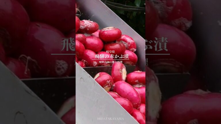 #飛騨高山 で昔から人々が栽培し、作られてきた「#赤かぶ漬」。江戸時代から続く #飛騨 を代表する伝統の食文化です。「赤かぶ漬」を作り上げる様子を動画にまとめました。#高山