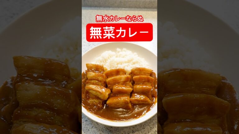【打倒リュウジ】無水カレーならぬ『無菜カレー』がヤバい。#shorts #料理研究家への道#リュウジさん知り合い