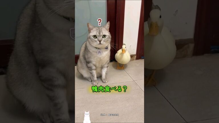 友達は食べられない!