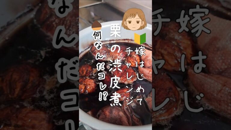 ズボラ嫁🔰初めてチャレンジ 栗の渋皮煮 | 【🌰煮汁に感動編】 | #ズボラ嫁 #日常 #vlog g #おやつ #カップル #栗の渋皮煮