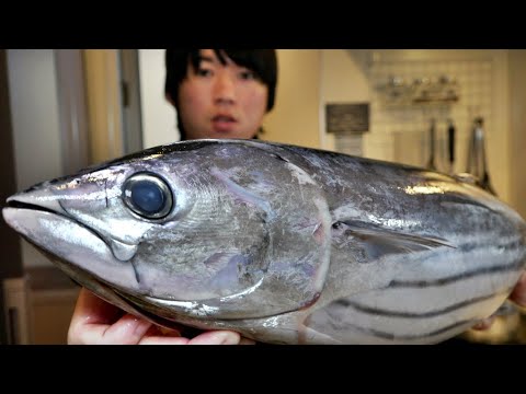 旬が2度ある魚『カツオ』のさばき方を紹介します【初鰹編】