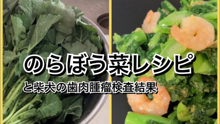 【活かす暮らし】のらぼう菜を初めて料理して食べました　塩バター炒め　ゆず味噌オイル和え　ネギ油和え