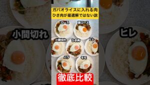 【徹底比較】ガパオライスに使う肉『ひき肉』が最適解ではない説！豚肉のいろんな部位で同時にガパオライスを作って比べたらまさかの1位は…#shorts
