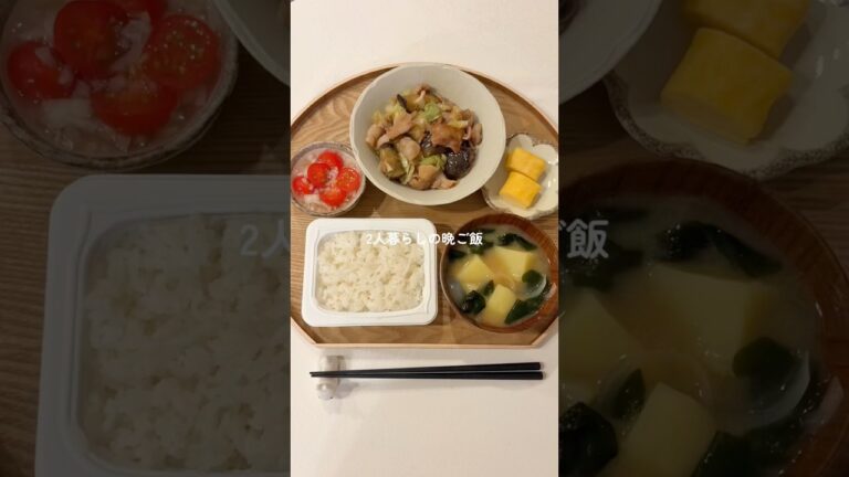 豚と茄子とキャベツの味噌炒め🤤🍚パックご飯に助けられた〜！#PR #アイリスオーヤマ #パックご飯 #低温製法米のおいしいごはん #簡単レシピ @irisohyama_official