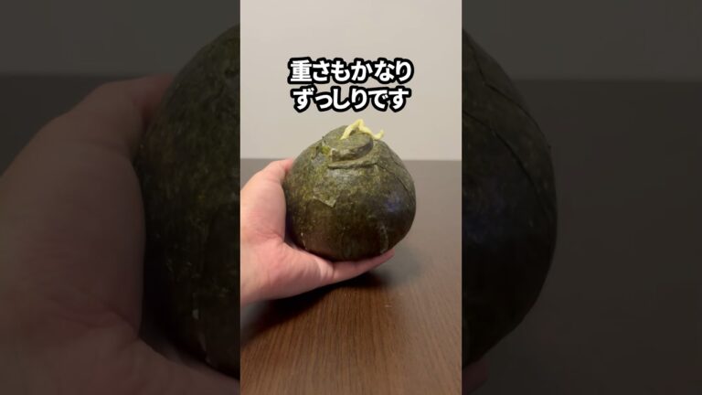 爆弾型の爆弾おにぎり作ってみた　#3dプリンター #おにぎり #shorts