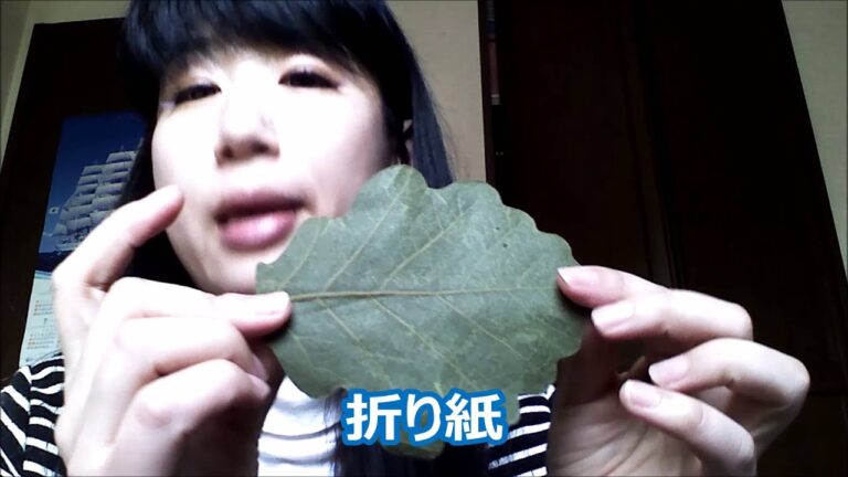 【こどもの日】葉っぱで鶴を折ってみた【柏餅】