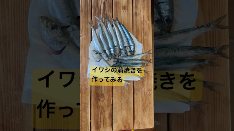 イワシの蒲焼き丼