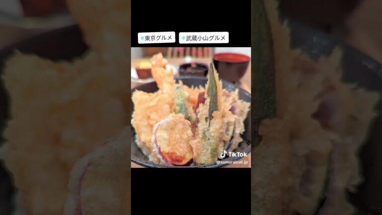 武蔵小山のグルメ情報「和カフェsoo」～海老と季節の野菜天丼～ サックリ天ぷらに日本料理の細かい技が垣間見える本格天丼が美味しい！ #武蔵小山グルメ #東京グルメ #tokyo