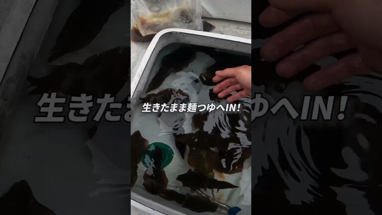 沖漬けおいしいよね　#shorts