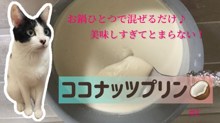 お鍋１つで簡単❗️激ウマ‼️〜ココナッツプリン〜