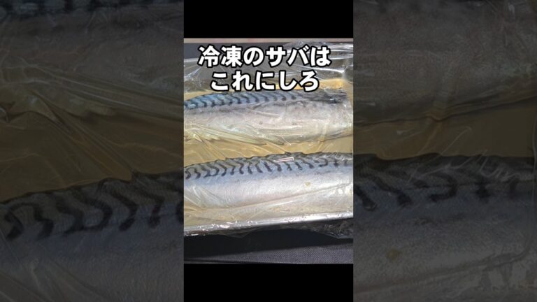 絶対に失敗しないサバの味噌煮 裏技レシピ 魚料理 さば 冷凍塩サバ