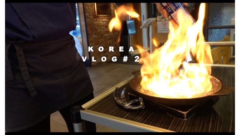 韓国vlog#2 鷺梁津水産市場.広蔵市場.ケリムシッタン.熟成サムギョプサルトッコギ506、敬天愛人2237、アックジョンコプチャン