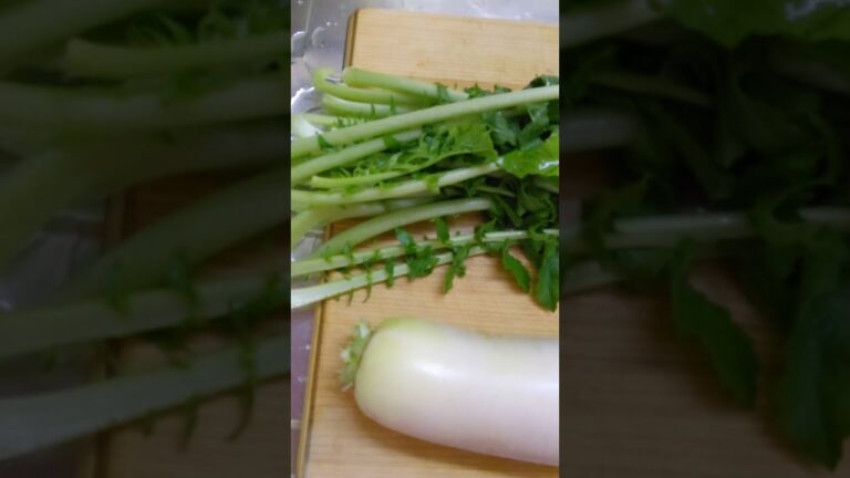 【今夜の一品】超簡単・超美味しい 大根の葉っぱのふりかけ【母のおばんざい】【Radish】#shorts