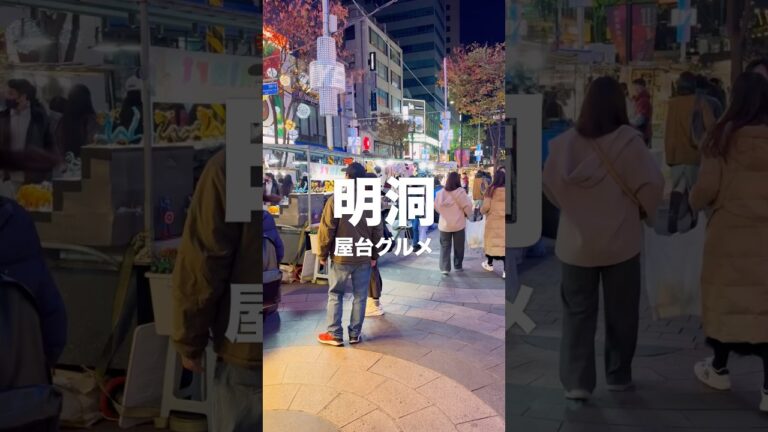 明洞屋台グルメを食べ歩き正直レビュー！