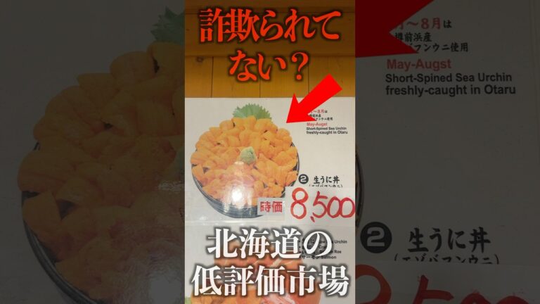【詐欺られてる？】8500円の海鮮丼が高すぎたw北海道の低評価市場がやばい。