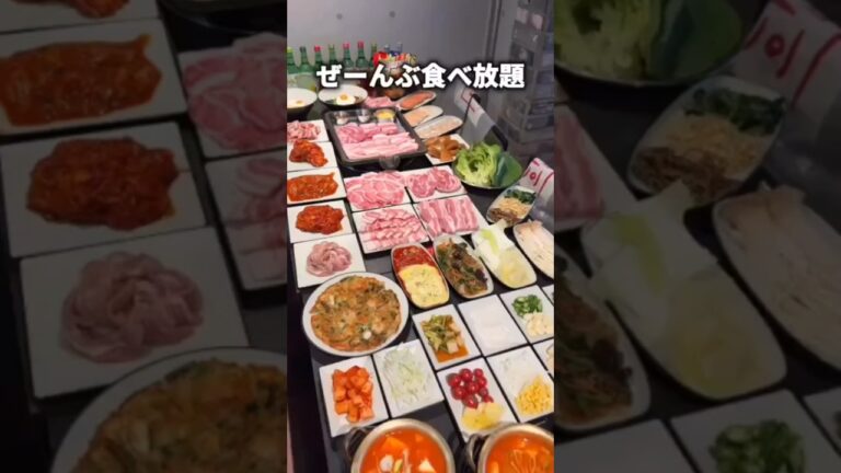 コスパ最強！2,280円で韓国焼肉食べ放題【新大久保】✨#新大久保グルメ  #新大久保ランチ  #焼肉食べ放題  #ランチ食べ放題  #コスパ最強ランチ  #韓国グルメ #食べ放題ランチ