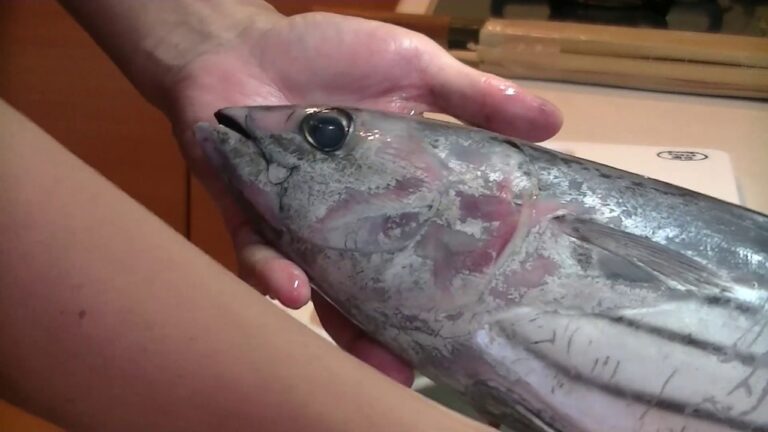 戻り鰹の刺身とタタキ