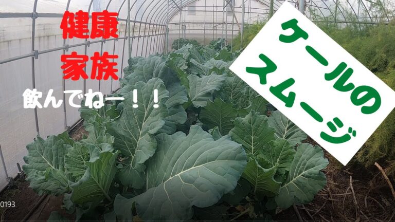 無農薬のケールなんですけど
