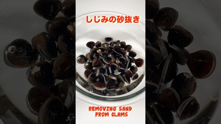失敗なし！しじみの砂抜き方法／A complete guide to removing sand from clams without fail! #しじみの砂出し #ショート ＃ショート動画#しじみ