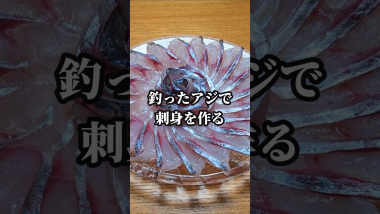 釣ったアジで最高の熟成刺身を作ったら美味すぎた #アジ #刺身 #魚の捌き方