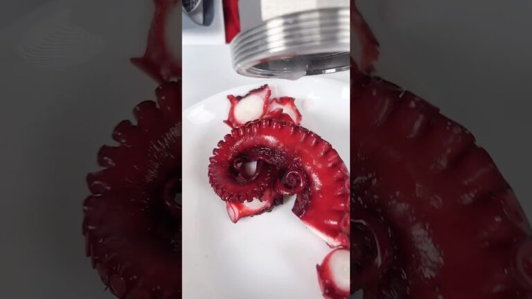 【世界初】タコにお酢と炭酸を注入して最高の食材に