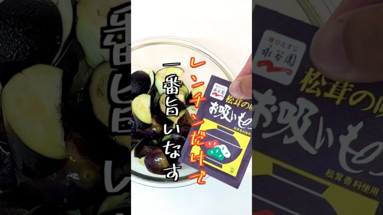 【なす】の簡単で旨い食べ方！焼いたり揚げないけど揚げ浸しみたい #簡単レシピ #料理 #なすレシピ