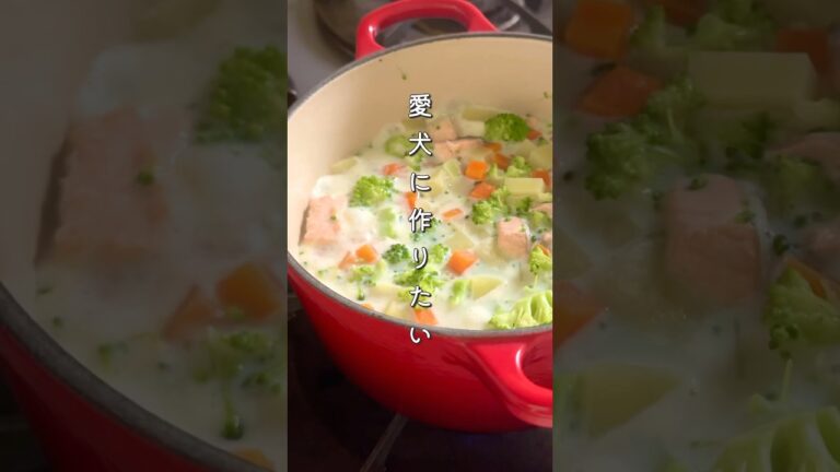 【愛犬スープ】鮭の豆乳シチュー #獣医