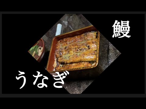 久々の鰻～ (静岡･清水) #Shorts