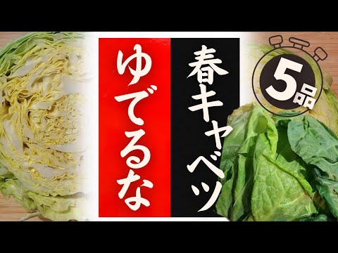 【春キャベツ】の美味しい食べ方！驚くほど美味しくなる！レシピ５選