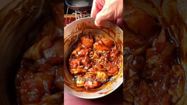 岐阜の鶏ちゃん #shorts