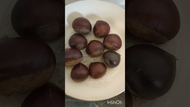 栗の皮むき渋皮も一緒にむけるぽろたんが手に入ったのでフライパン焼いて剥いてみた #栗 #渋皮