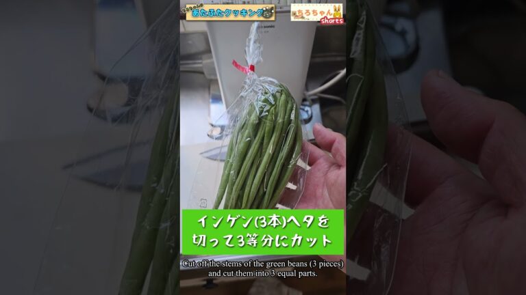 笠原将弘のおかず道場でやっていた鶏肉と新ショウガの筑前煮と新ショウガのドレッシングを作った。#shorts