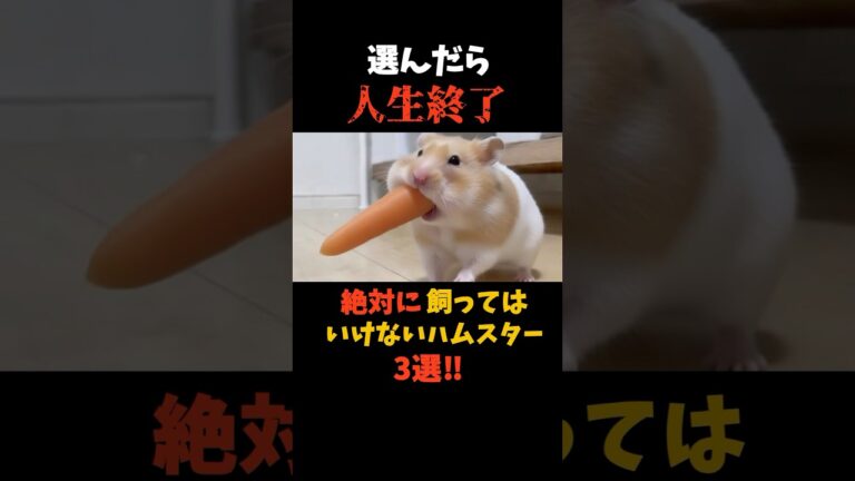 絶対に飼うな！人生が終了するハムスター3選#shorts