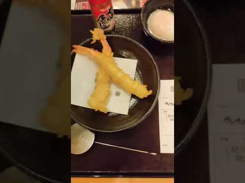 イオン「四六時中」で鍋焼きうどん食う48歳中年男 880円 イオンイーハート 天ぷら和食処