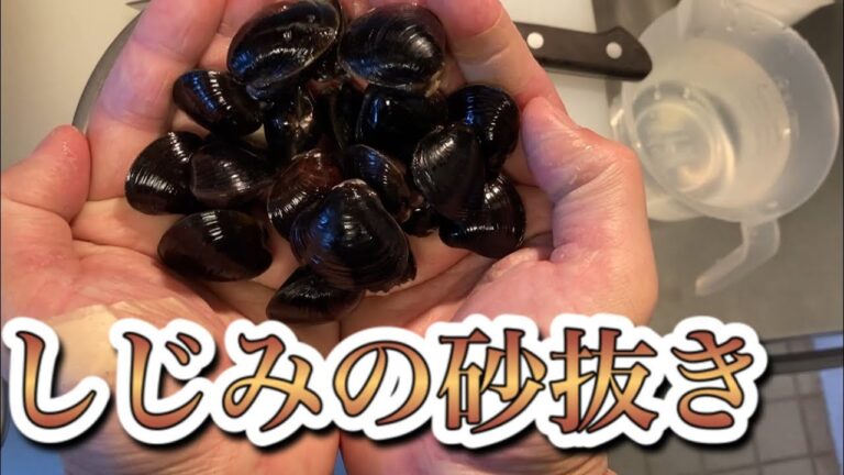 【しじみの砂抜き】と旨味がアップする【保存方法】