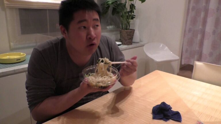 俺がただ「冷やしたぬきうどん」を食らう動画【サブ】