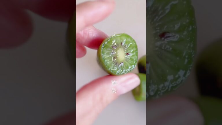 🌿🥝猿梨🥝野生のキウイ　🐒ハチミツと白ワインで🍸 #recipe #お菓子作り #ハーブ