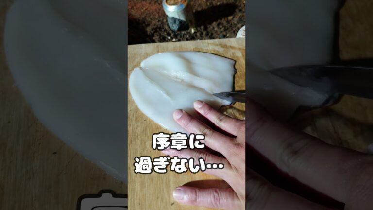 アオリイカ、ツマミにする