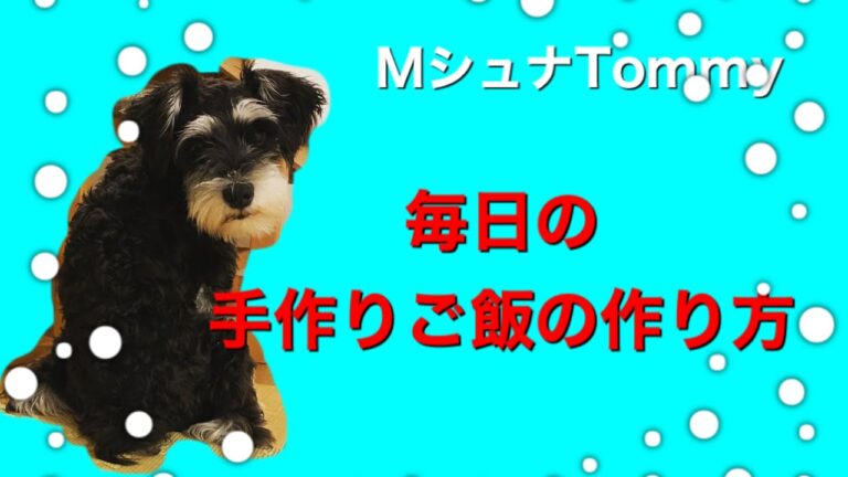 ミニチュアシュナウザーTommy~わが家の犬の手作りご飯~