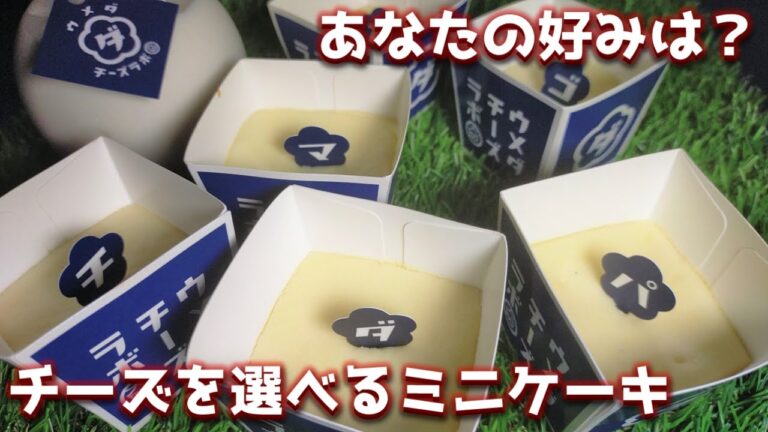 【食べ比べ】チーズでこんなに差が出るのか!!梅田チーズラボのチーズケーキでチーズの奥深さを知る
