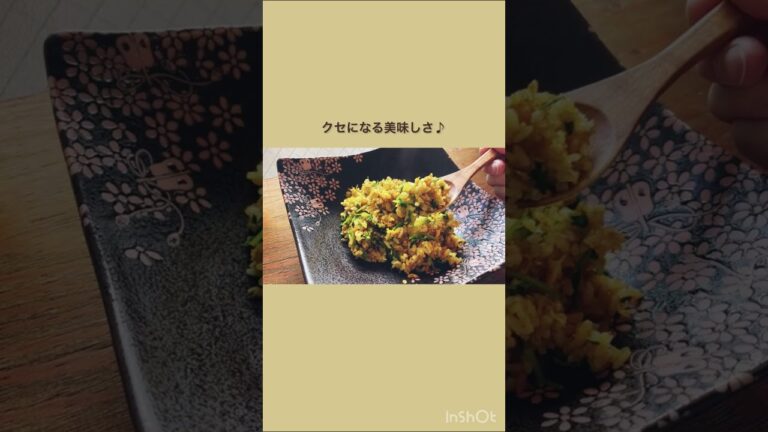 都会の中の隠れ家LIFE # 11 【朝食は手作り苺ジャムのトースト/スパイスボックス作ってみた♪/豆苗とじゃこのカレー炒飯/植物コーナー模様替え♪】