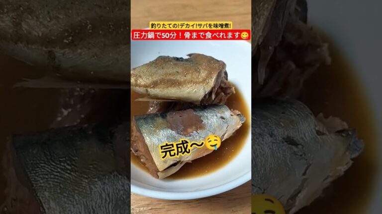 釣りたて新鮮サバで!絶品さばの味噌煮