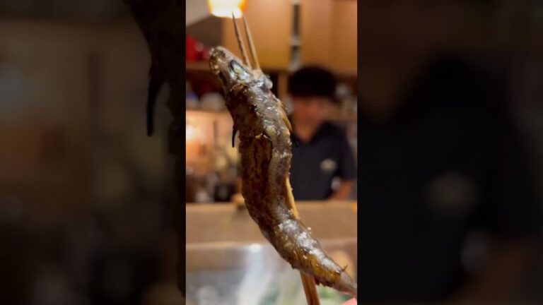 焼いたメヒカリが回転する画期的な動画