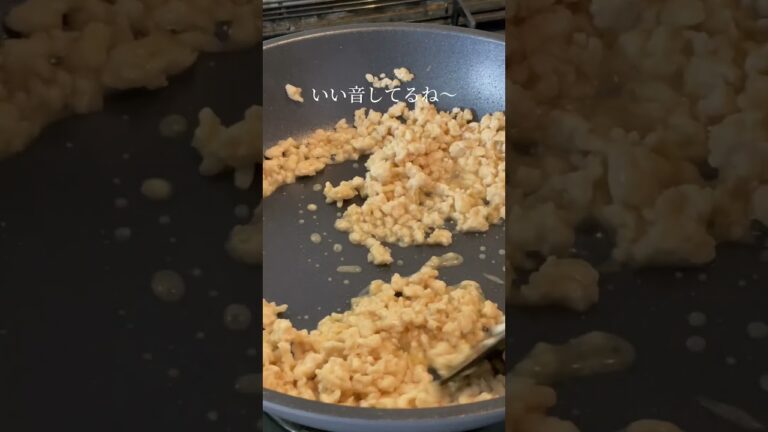 3日目は究極のそぼろ丼です！ #おつまみレシピ #ずぼら飯 #簡単レシピ #鶏肉レシピ #簡単レシピ #おなかすいたいち