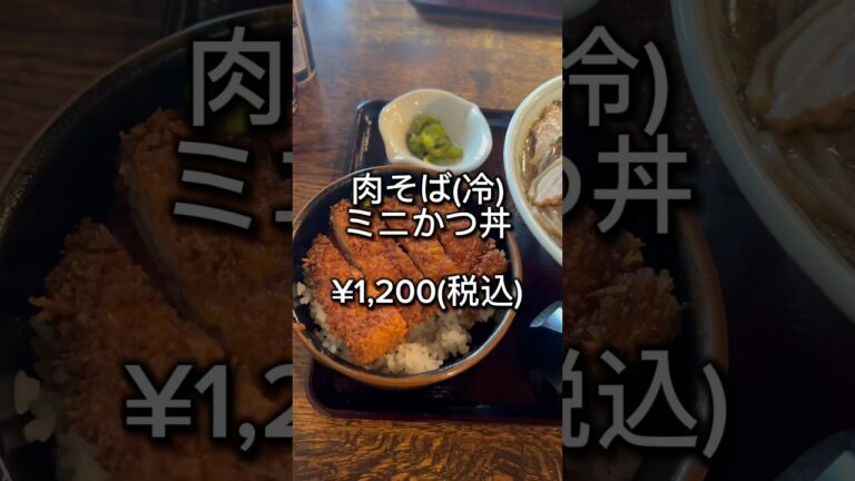 【そうだ❗️昼食は冷たい肉そばにしよう】といや 2023/06/16 #肉そば #サラリーマン #shorts